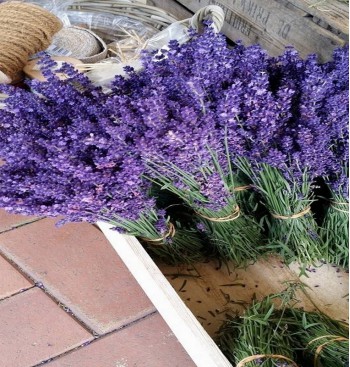 Product: Lavendel gedroogd Product: Lavendel gedroogd