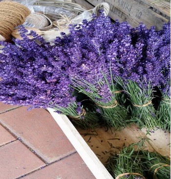 Product: Lavendel gedroogd