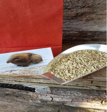 Product: Venkel zaad 100 gram Product: Venkel zaad 100 gram