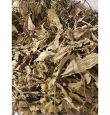 Product: .Weegbree smal A Kwaliteit - Actuele voorraad: 421