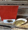 Product: Oregano grof 50 gram