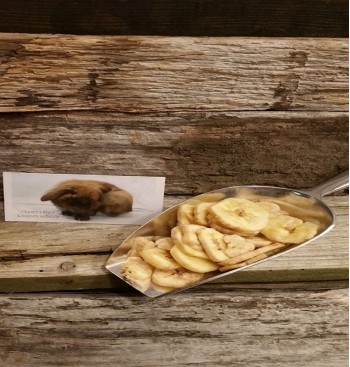 Product: .Banaan schijfjes Product: .Banaan schijfjes