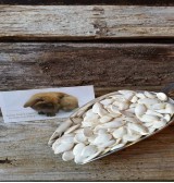 Product: .pompoen pitten  - Actuele voorraad: 236