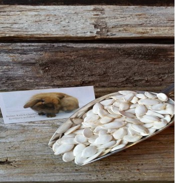 Product: .pompoen pitten Product: .pompoen pitten