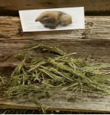 Product: Heermoes grof  - Actuele voorraad: 158
