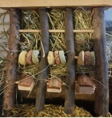 Product: Staande hooi ruif - Actuele voorraad: 4