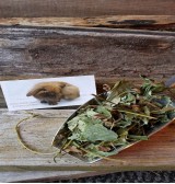 Product: Aardbei blad  - Actuele voorraad: 0