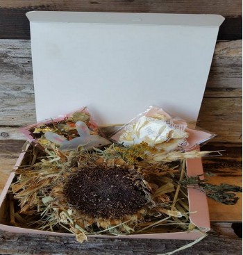 Product: .Cadeau box 2 konijn Product: .Cadeau box 2 konijn
