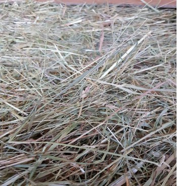 Product: Babbel mix ( grof) Product: Babbel mix ( grof)