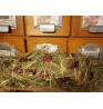 Product: Smikkel rol roos 
